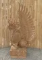 morepic-3
